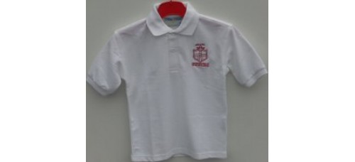 Polo - Penyfai Primary Polo - Penyfai Primary
